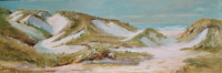 D�nen auf Amrum