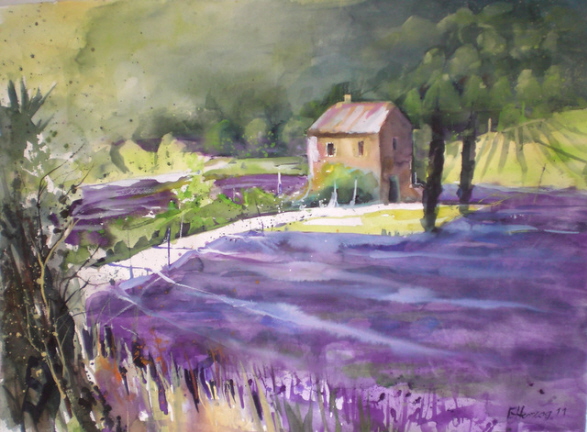 Lavendelfeld, Provence