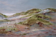 D�nen auf Amrum